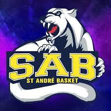 SAINT ANDRE BASKET